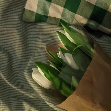 Profile image of 공룡