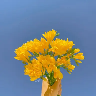 Profile image of 각별