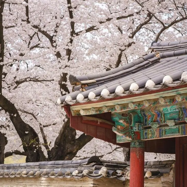 oignon1209의 김각별