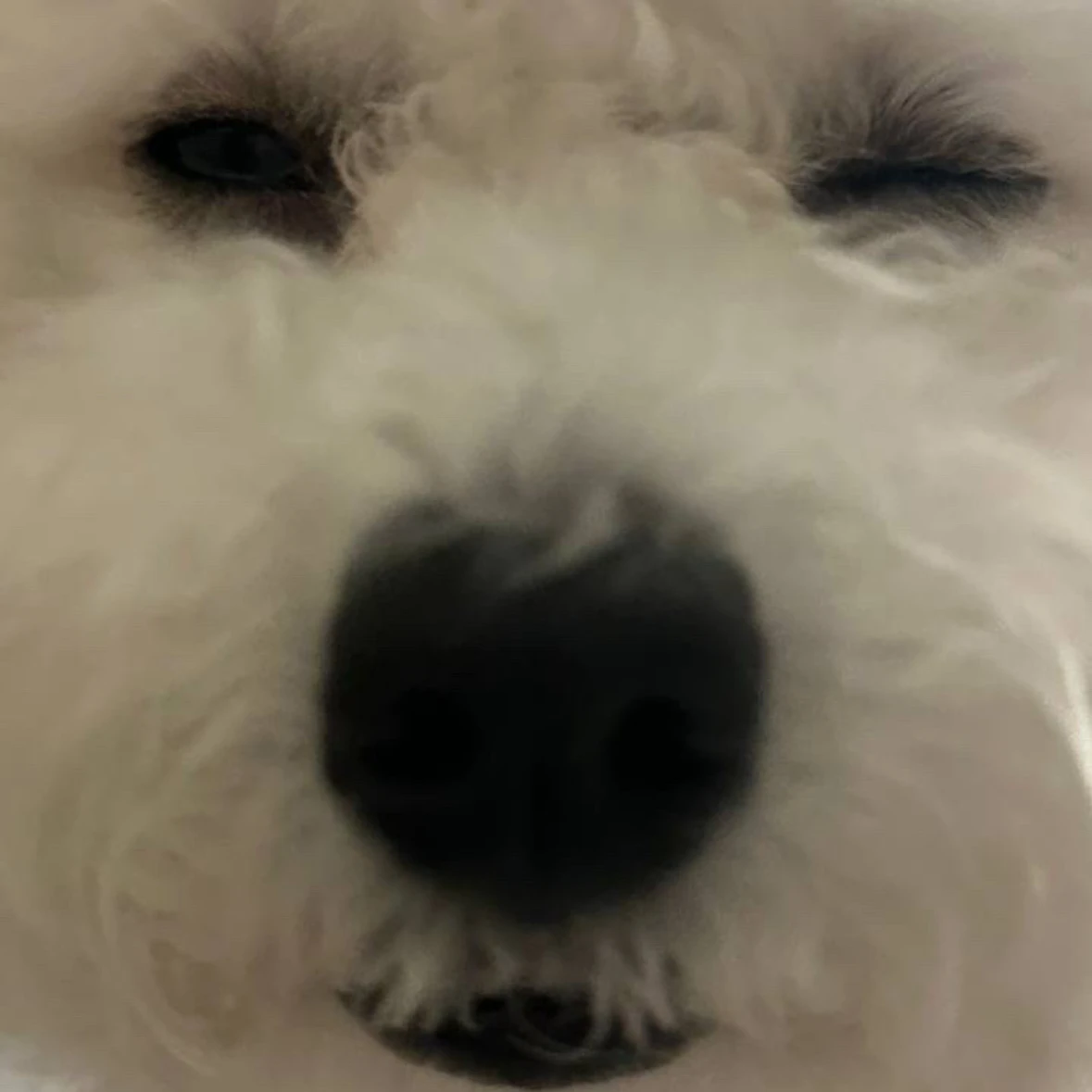 오시온