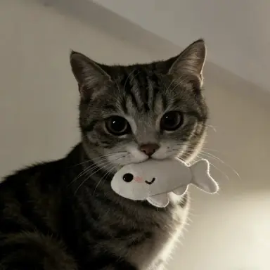 Profile image of リノ