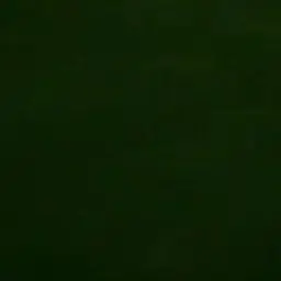 Profile image of 로보