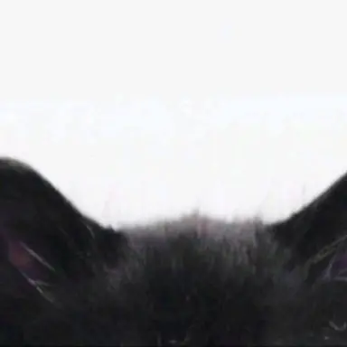 Profile image of 김정식