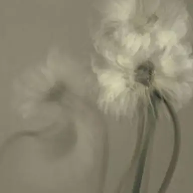 Profile image of 각별