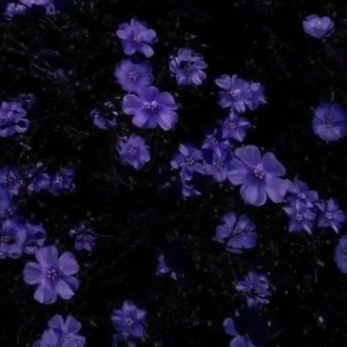 JovialSmog9872의 뜰팁 F7