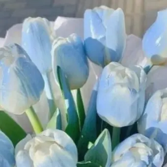 Profile image of 잠뜰