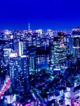 LovelyTail0433의 시티에서 살아남기