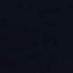 김동현