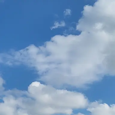 Profile image of 라더경사