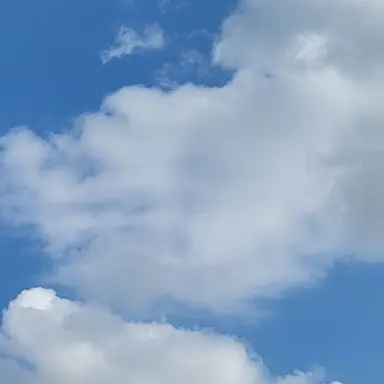 Profile image of 각별경사