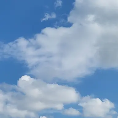 Profile image of 잠뜰경위