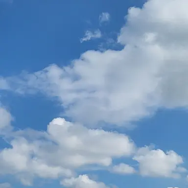 Profile image of 공룡경사