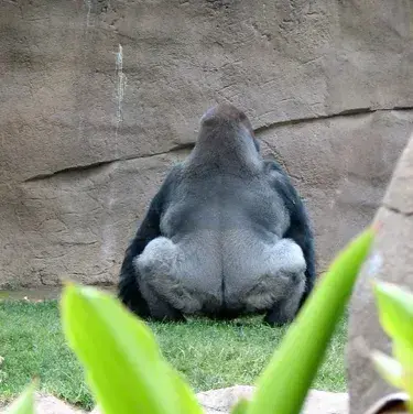 Profile image of Zeke