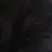 태현