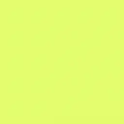 Profile image of 伊波ライ