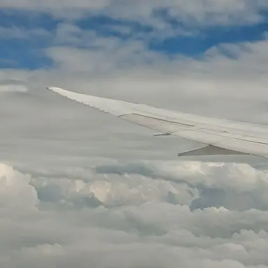 Profile image of 오유란