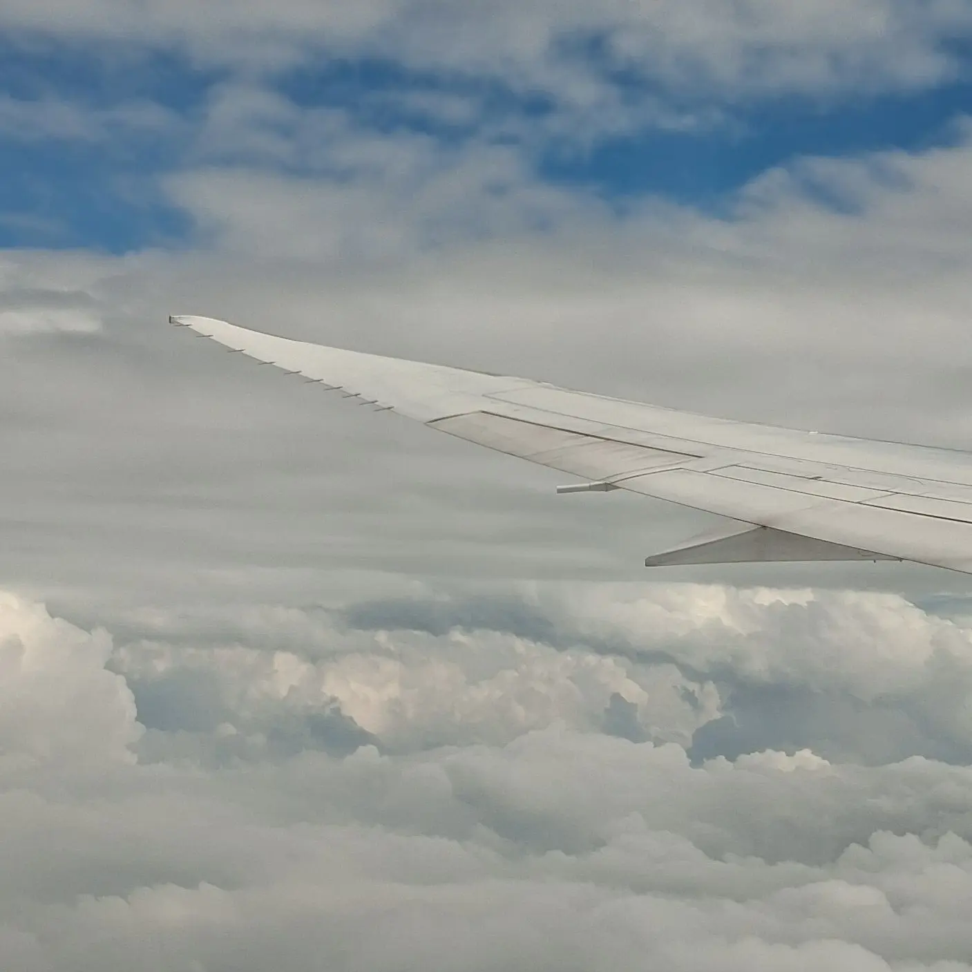 SweetAngel4401의 스프런키(제빈 블랙혀 색이 보라색임)