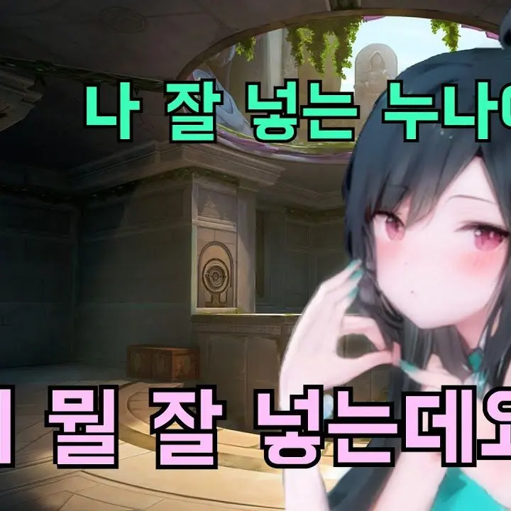 StingyIcehgcj의 발로란트 유튜버