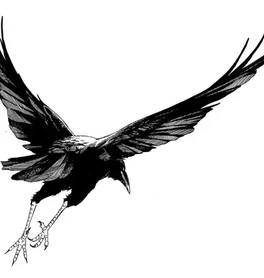 Profile image of 鎹鴉