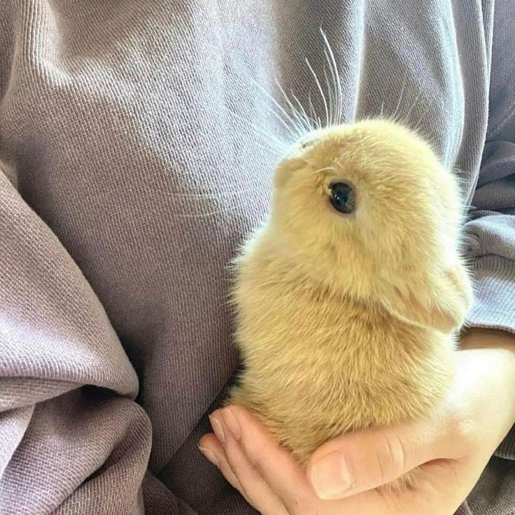 마음대로 이야기2 대표 이미지