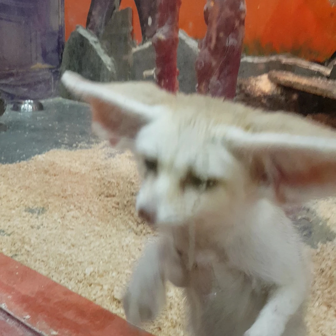 선생님