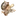 퓨어바닐라 꾸키
