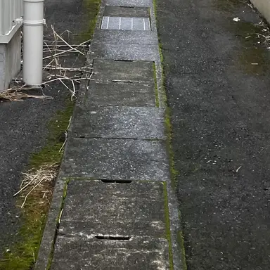 Profile image of 稀咲鉄太