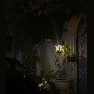 Profile image of Mary and Paul Karagiannis