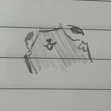 Profile image of 페블