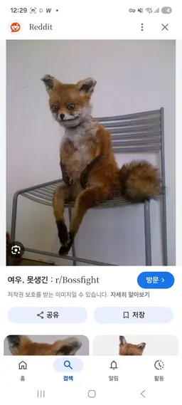 Profile image of 여우
