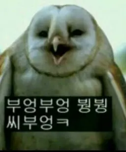 Profile image of 미여우