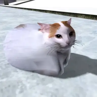 Profile image of 치피치피