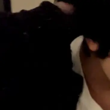 mkhc의 ㅤ 