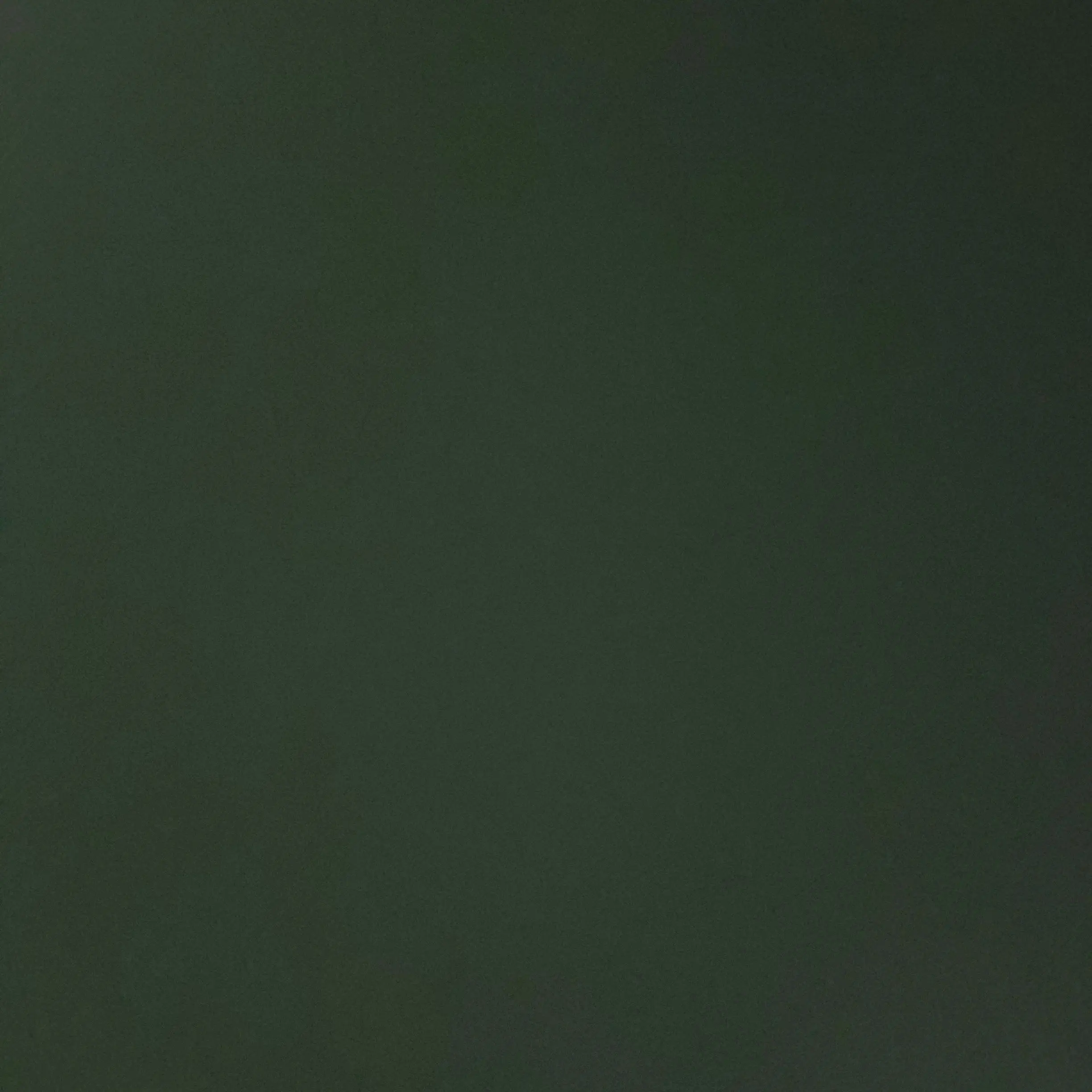 VividBook5358의 오빠