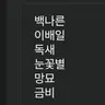캐릭터 프로필 이미지
