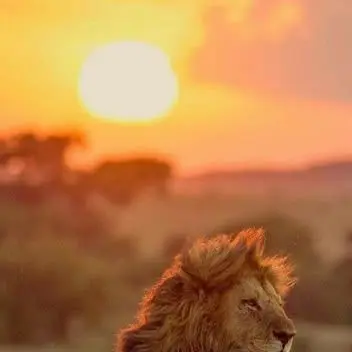 Profile image of 宇佐美リト