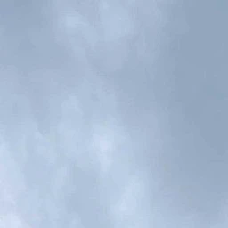 태현