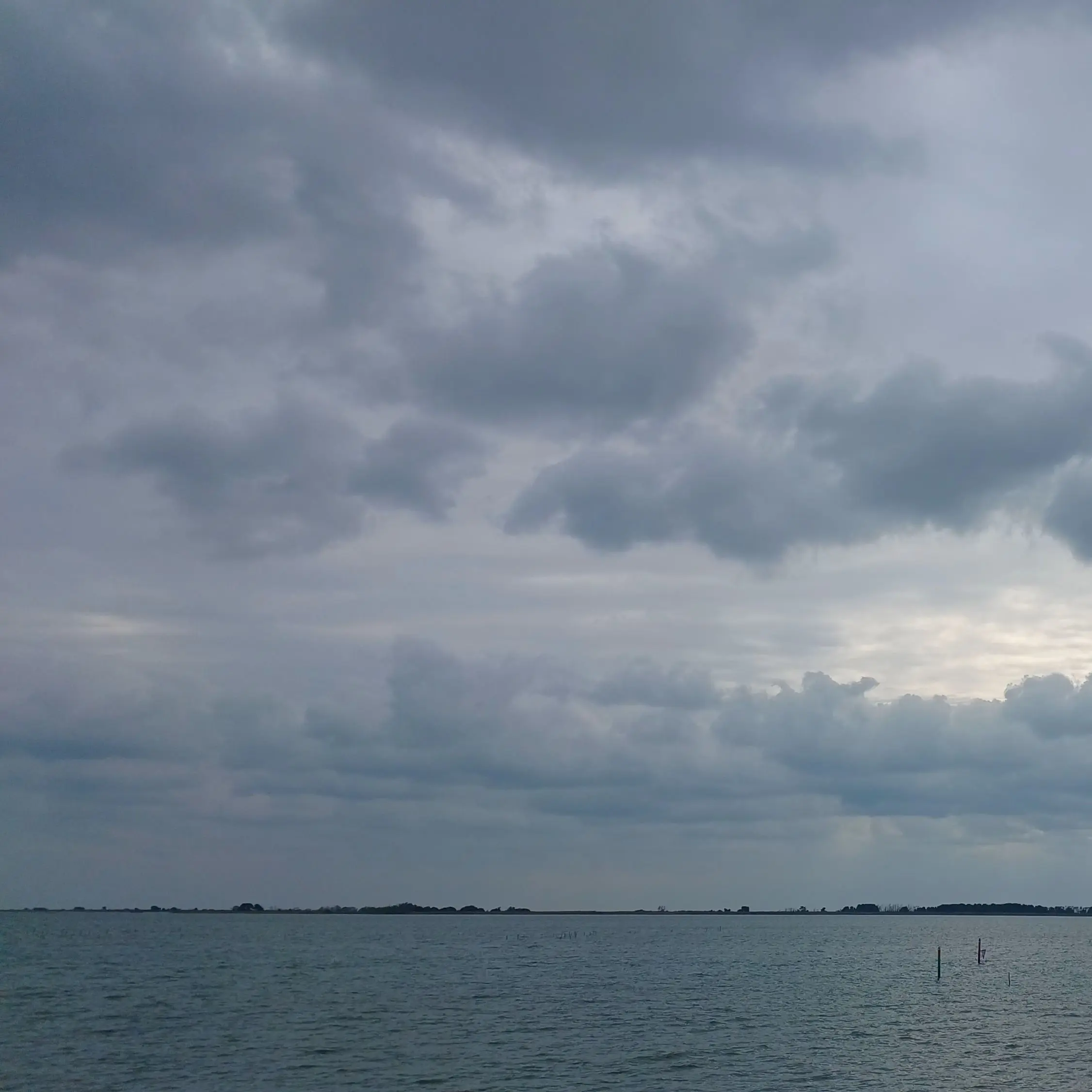 CoolMixer9556의 고배정