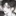신재현