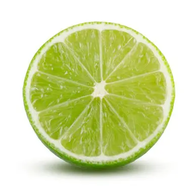 Profile image of 1x1x1x1