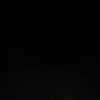 Profile image of 김동현