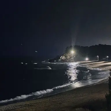 Profile image of 유지민