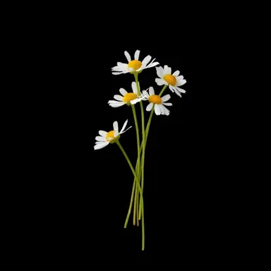 Profile image of 율