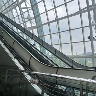 Profile image of 아이들