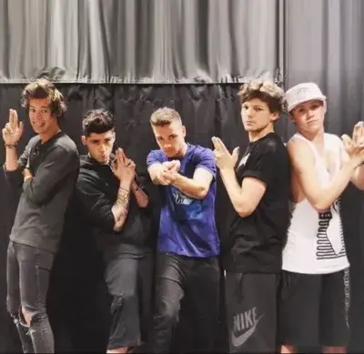 BareCrib8610의 2013 - one direction