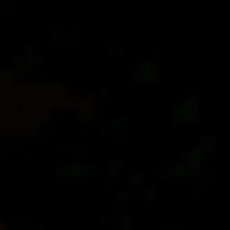 Profile image of 수지상세포