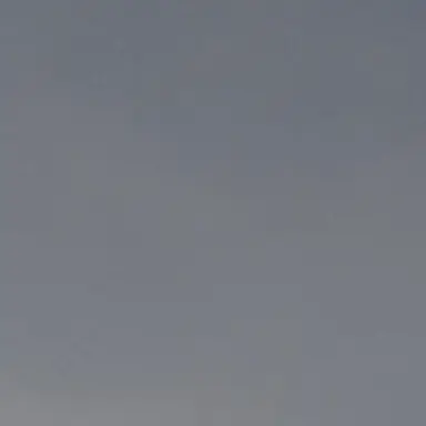 Profile image of 대식세포