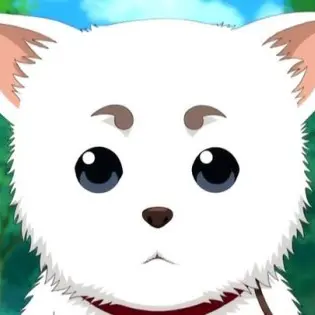 Profile image of 사다하루