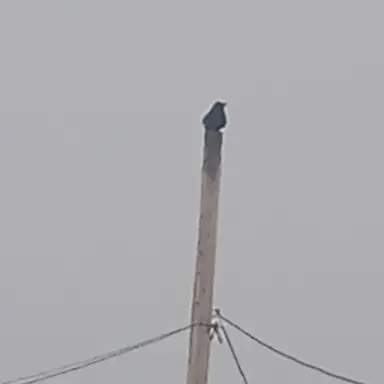 Profile image of Agnes