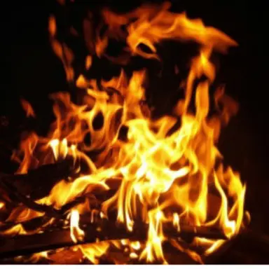 Profile image of 악마들